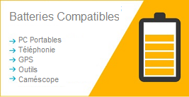 Batteries compatibles pour pc portables, gps, camescope.